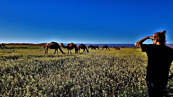 Kasbah Les Alizes Du Desert
