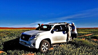 Kasbah Les Alizes Du Desert