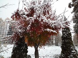Hakuba Iwatake Lodge Gakuyuso