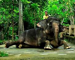 Mangsit Suites by Holiday Resort Lombok