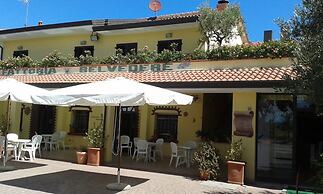 Fattoria Belvedere