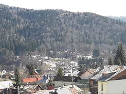 Iri Busteni Hotel