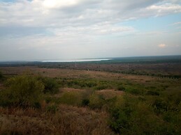 The Elephant home