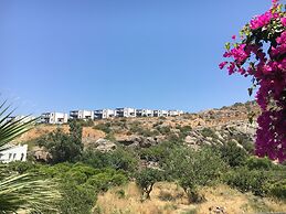 Villa Oliva Butik Hotel