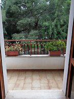 B&B Leopardi