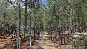 Olbios Marina Resort