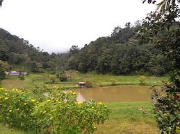 Three Hills Coorg