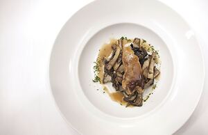 Hotel Restaurant Can Josep