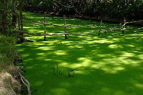 Le Mazet De Jean en Camargue