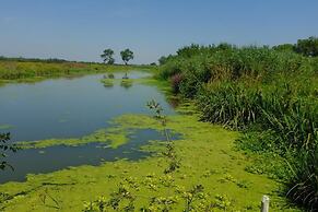 Le Mazet De Jean en Camargue
