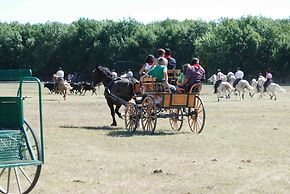 Le Mazet De Jean en Camargue