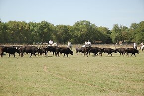 Le Mazet De Jean en Camargue