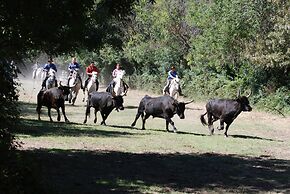 Le Mazet De Jean en Camargue
