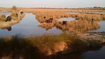 Le Mazet De Jean en Camargue
