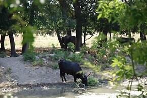 Le Mazet De Jean en Camargue