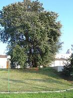 Hotel Masseria Fabrizio