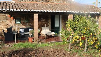 C & M - Casa de Mares