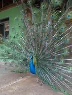 Pousada Sitio Bom Fim