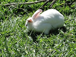 Pousada Sitio Bom Fim