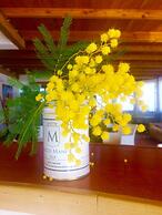 B&B Palazzo Manfredi Vieste