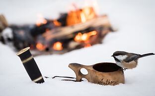 Wilderness Hotel Inari & Igloos
