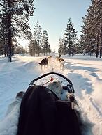 Wilderness Hotel Muotka & Igloos