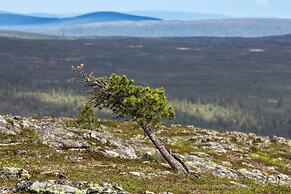 Wilderness Hotel Muotka & Igloos