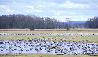 Tryde 1303 Bed & Breakfast