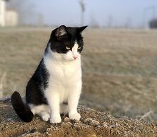 Tryde 1303 Bed & Breakfast