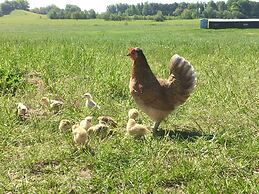 Tryde 1303 Bed & Breakfast