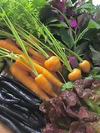 Tryde 1303 Bed & Breakfast