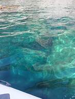 Palazzo Conforti B&B