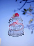 Aveo by Amatra- Kashipur