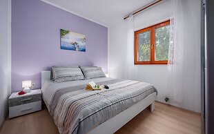 Apartment Klaudio 294