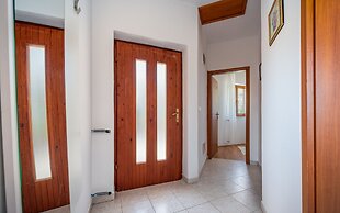 Apartment Klaudio 294