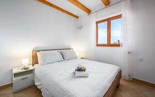 Apartment Klaudio 294