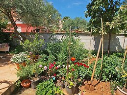 Apartment Ivanka 378