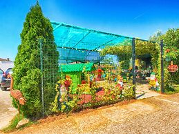 Apartments Anka 1223