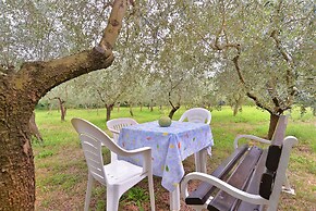 Apartments Dragica 929