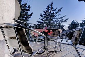 Apartments Dragica 1251