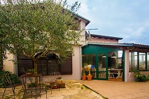 Apartments Graziella 992