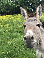 Agriturismo La Betulla
