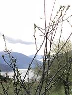 Agriturismo La Betulla