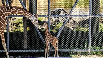 Hyatt Place Warwick / Providence Airport