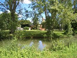 Le Platane