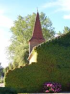 Le Platane