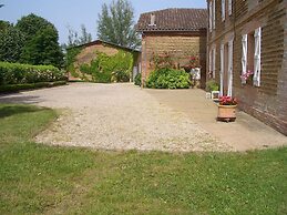 Le Platane