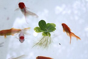 Pousada Arraial Caribe