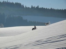 Hotel Schwarzwaldgasthof Zur Traube