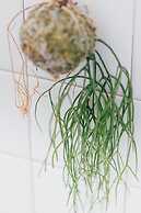 Te en Té Tea &Floriage Hostel